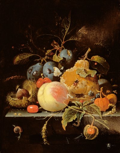 Stillleben mit Obst und Nüssen auf einem Steinabsatz von Abraham Mignon